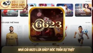 Nhà cái 6623 lừa đảo? Bóc trần sự thật và đánh giá khách quan 2025 4 Nhà cái 6623 lừa đảo? Bóc trần sự thật và đánh giá khách quan 2025